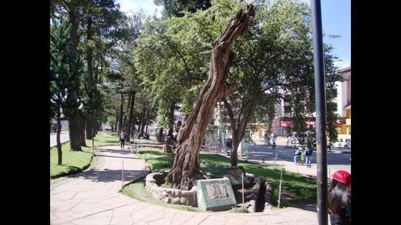 Brizio Guest House Cusco Exterior foto